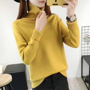 Knitted Turtleneck Sweater